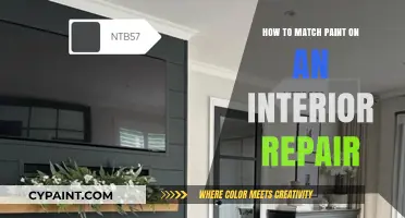 Perfect Paint Matching for Seamless Interior Repairs: Expert Tips & Tricks