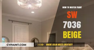 Perfectly Match SW 7036 Beige Paint: Tips and Tricks