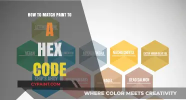 Mastering Paint Matching: How to Match Paint to a Hex Code