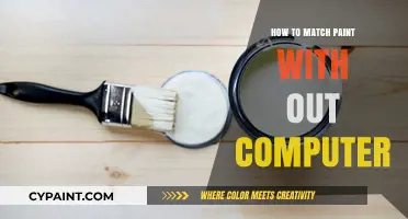 Mastering Paint Matching: A Step-by-Step Guide Without Digital Tools