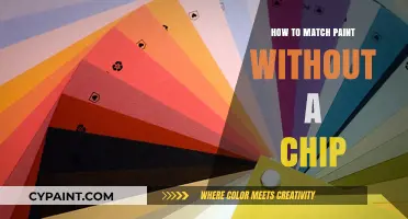 Perfect Paint Matching: Tips for Finding the Right Color Without a Chip