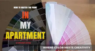 Perfect Paint Match: Tips for Blending Colors in Your Apartment