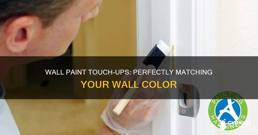 how to match up wsll paint for touch ups