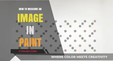 Mastering Image Measurement: A Step-by-Step Guide in Paint