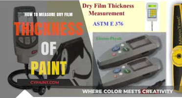 Accurate Dry Film Thickness Measurement: A Guide for Paint Inspection