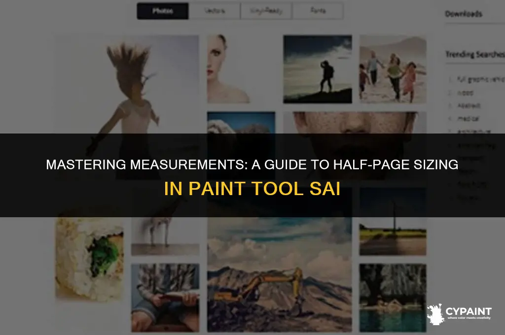 how to measure half a page on paint tool sai