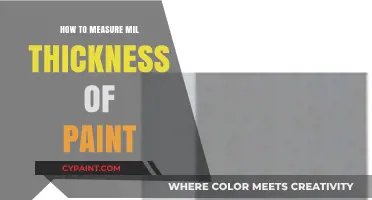 Mastering Paint Mil Thickness Measurement: A Comprehensive Guide