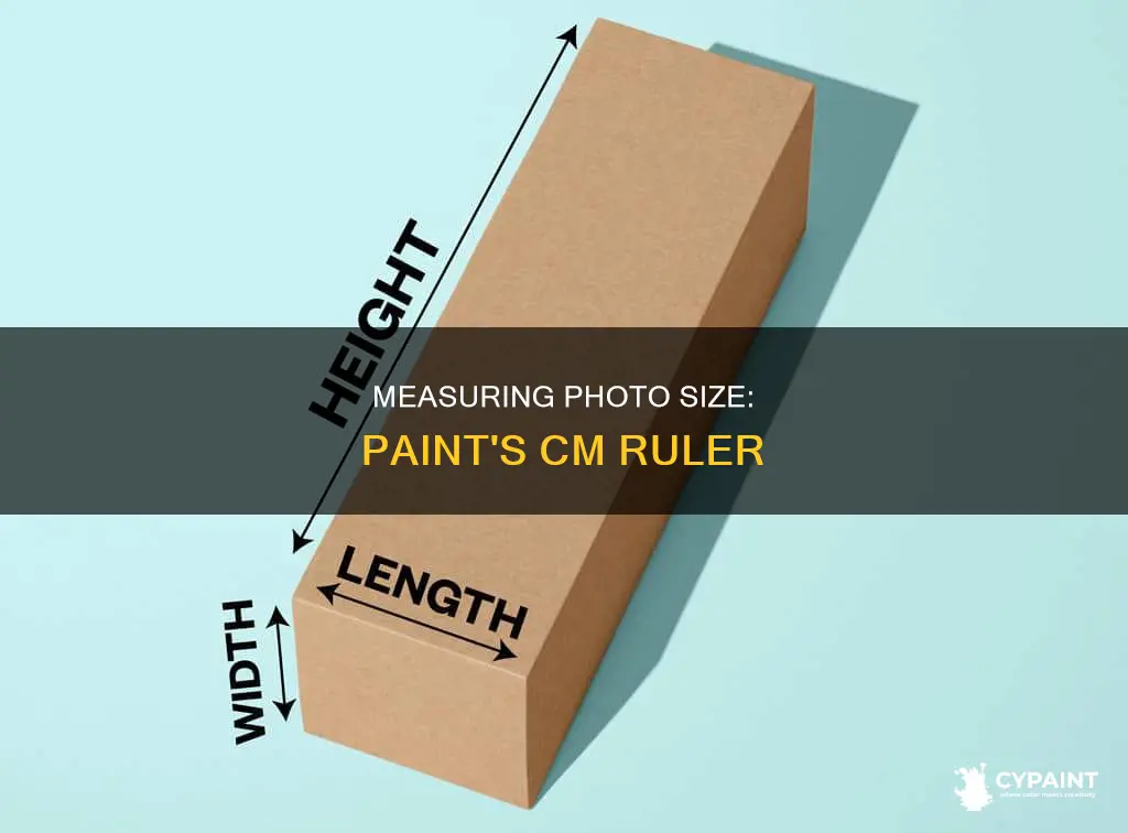 how to measure photo size in cm in paint