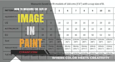 Measuring Image Sizes: A Paint Guide