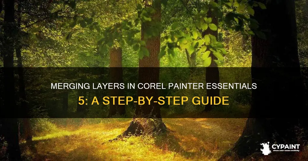 how to merge layers in corel painter essentials 5
