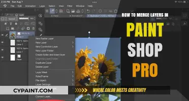 Mastering Layer Merging in PaintShop Pro: A Step-by-Step Guide