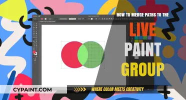 Merging Paths: Live Paint Group Techniques for Beginners