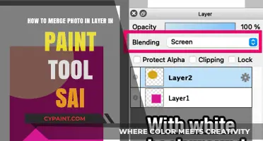 Mastering Layers: A Guide to Merging Photos in Paint Tool SAI