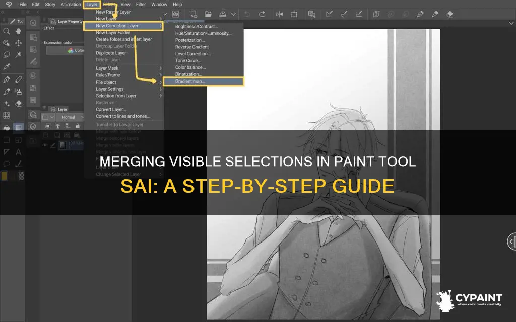 how to merge visible selection in paint tool sai