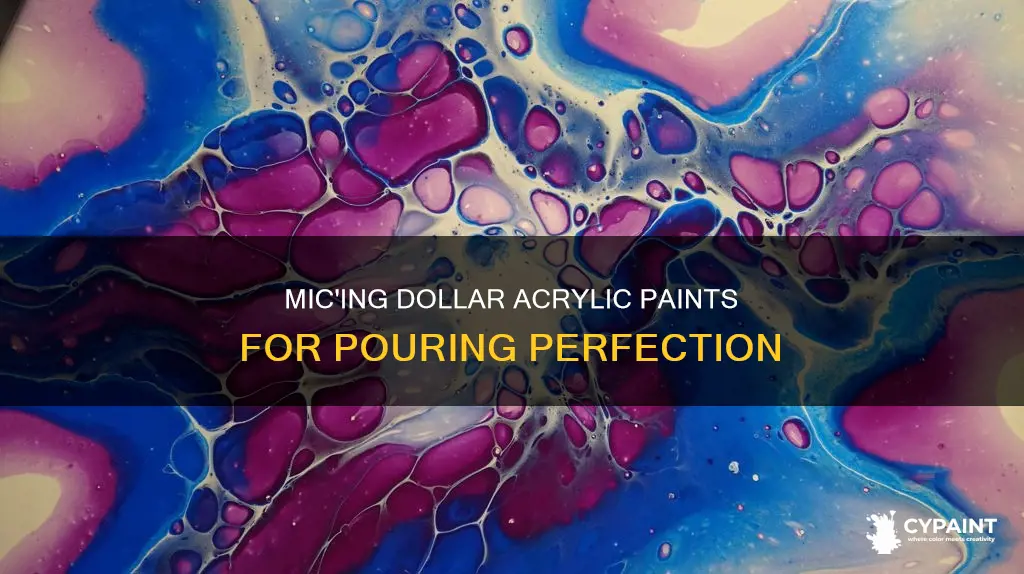 how to mic dollar general acylic paint to pour