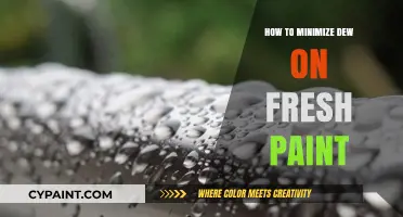 Prevent Dew Damage: Tips for Protecting Freshly Painted Surfaces