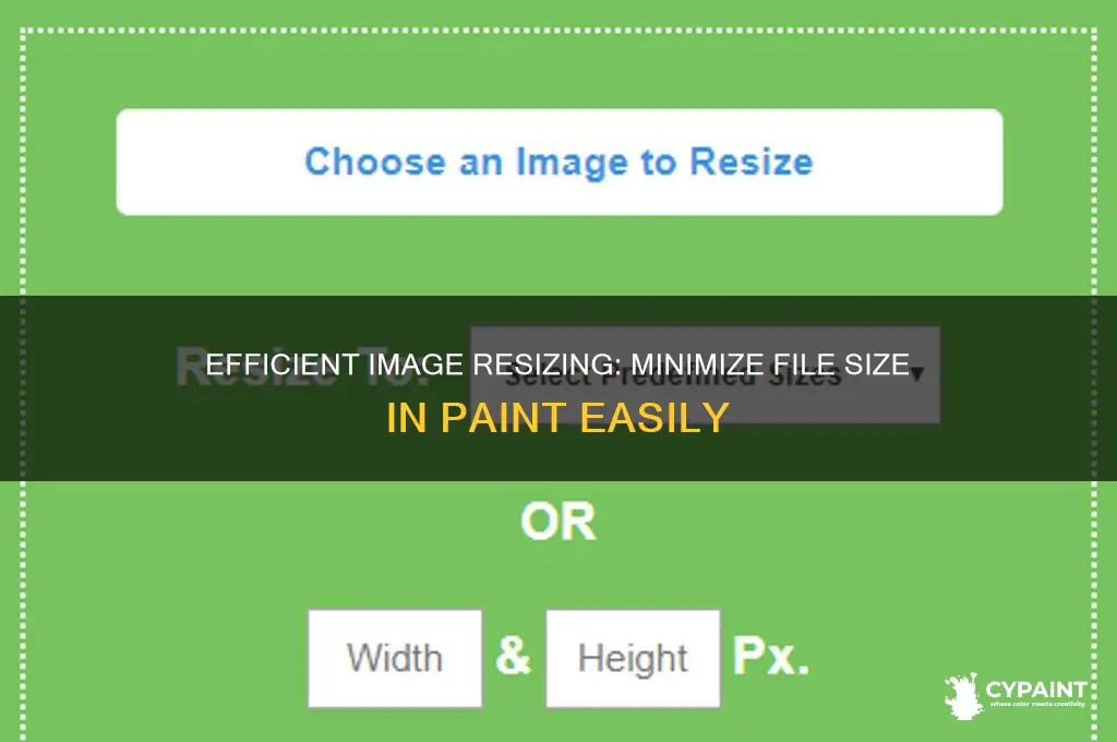 how to minimize image size in paint