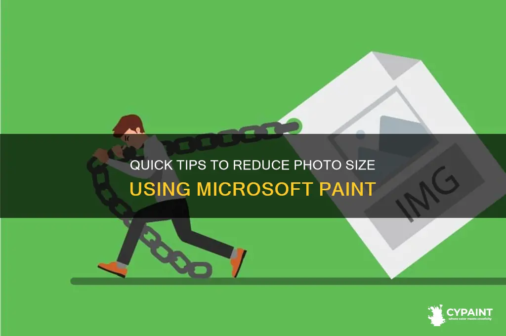 how to minimize the photo size in paint