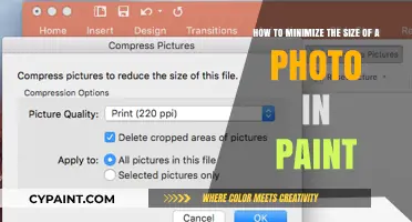 Efficiently Shrink Your Photos: A Paint Tutorial