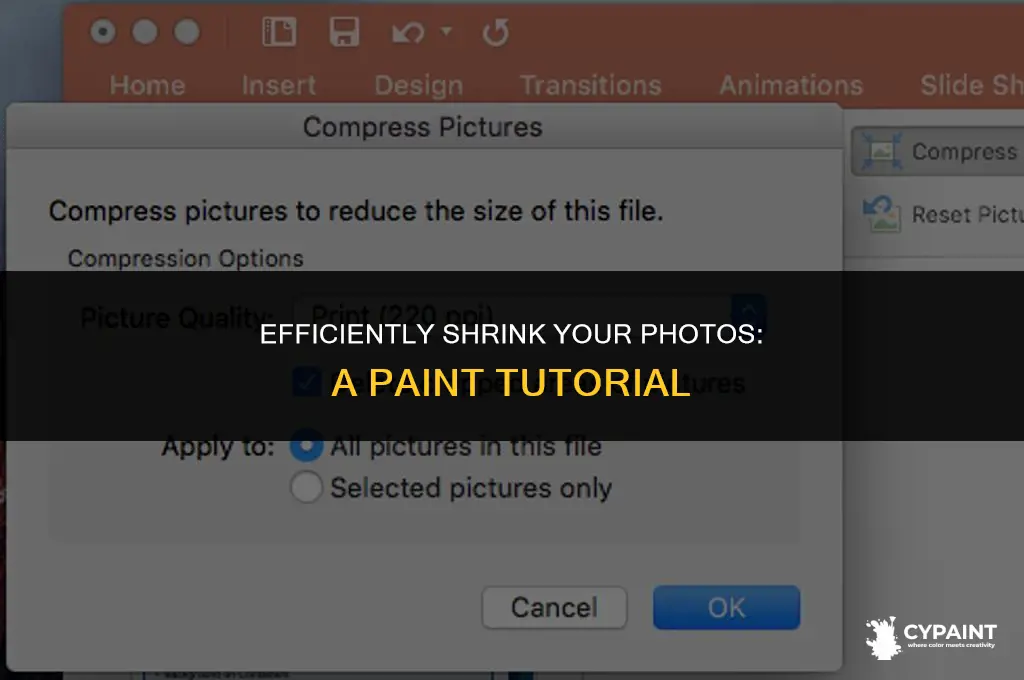 how to minimize the size of a photo in paint