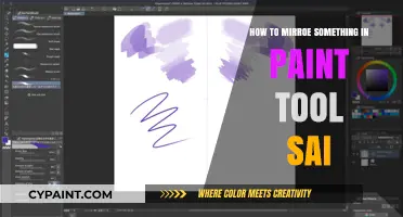 Mastering Mirroring Techniques in Paint Tool SAI: A Step-by-Step Guide