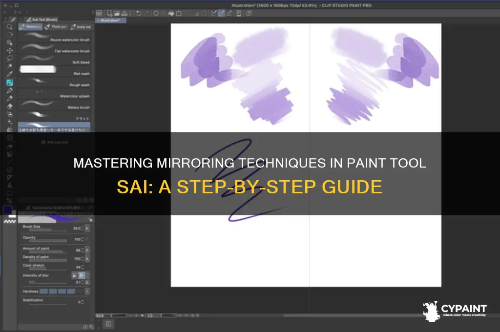 how to mirroe something in paint tool sai