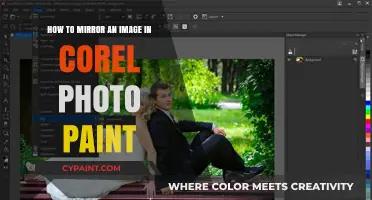 Mirroring Images in Corel Photo-Paint: A Simple Guide