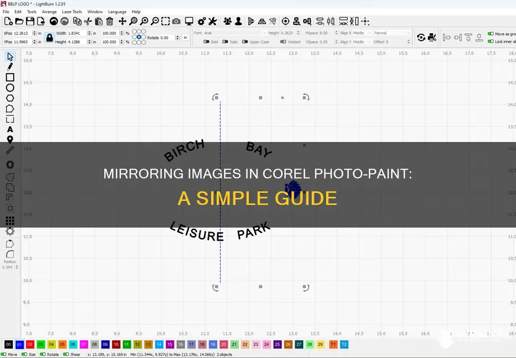 how to mirror an image in corel photo paint