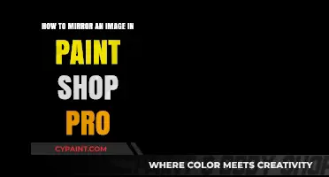 Mirroring Images: Paint Shop Pro's Easy Guide