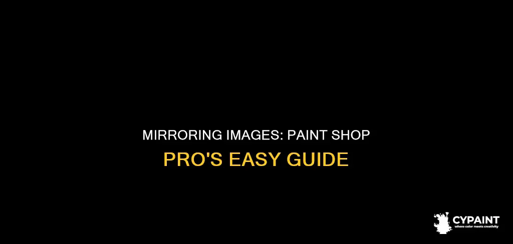 how to mirror an image in paint shop pro