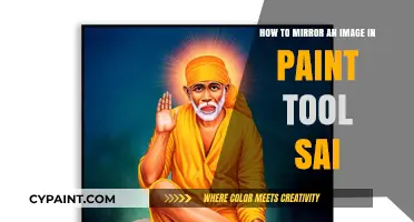 Mirroring Images in Paint Tool Sai: A Quick Guide