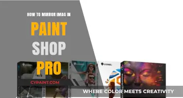Mirror Images in PaintShop Pro: A Step-by-Step Guide