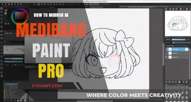 Master Medibang Paint Pro: Easy Steps to Mirror Your Artwork