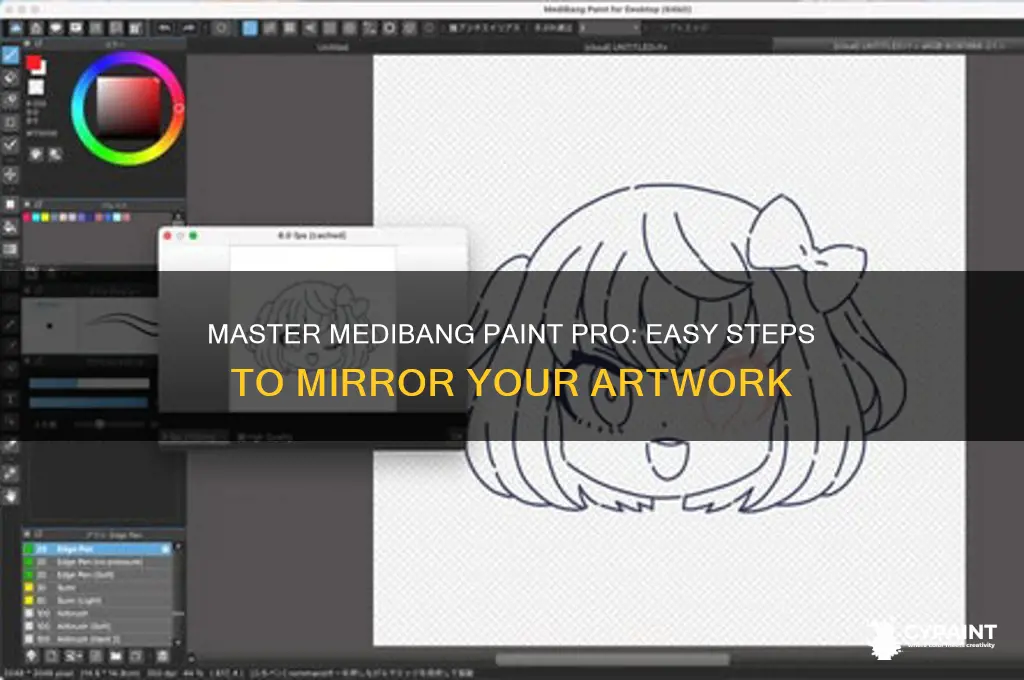 how to mirror in medibang paint pro