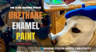 Mastering California Everlife Urethane Enamel Paint Mixing Techniques