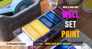 Mastering the Art of Mixing Well-Set Paint: Tips and Techniques