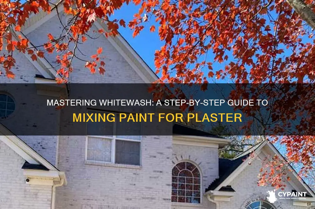 how to mix whitewash paint for plaster