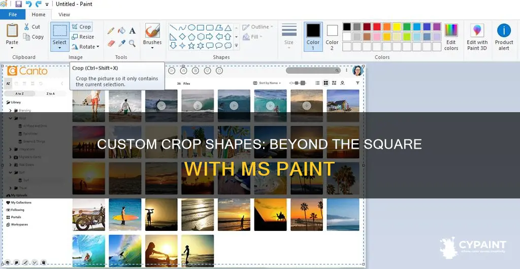 how to mke crop shape in paint not square