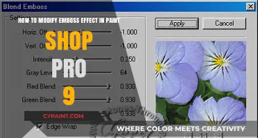 Mastering Emboss Effects in PaintShop Pro 9: A Step-by-Step Guide