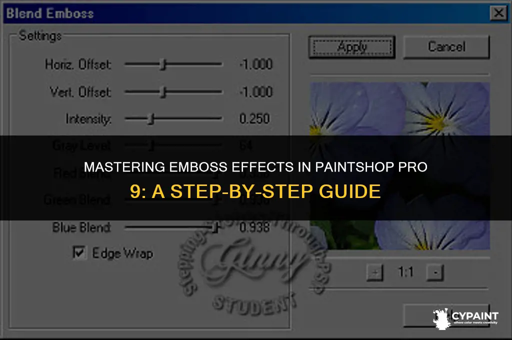 how to modify emboss effect in paint shop pro 9
