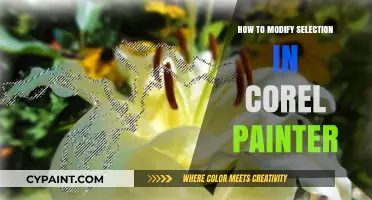 Mastering Selection Modifications in Corel Painter: Tips and Techniques