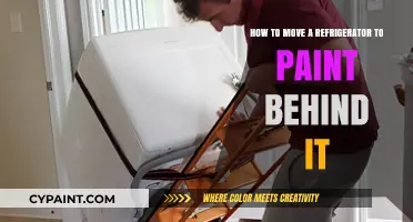 Moving a Fridge to Paint: A Step-by-Step Guide