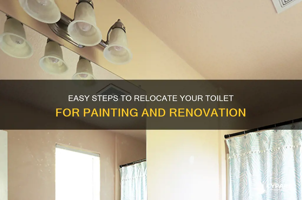 how to move a toilet for painting