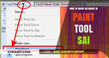 Moving Images: Paint Tool Sai's Easy Guide
