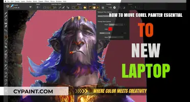 Transferring Corel Painter: Old Laptop to New