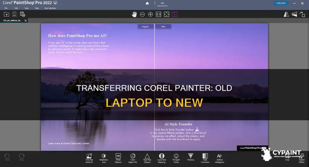 how to move corel painter essential to new laptop