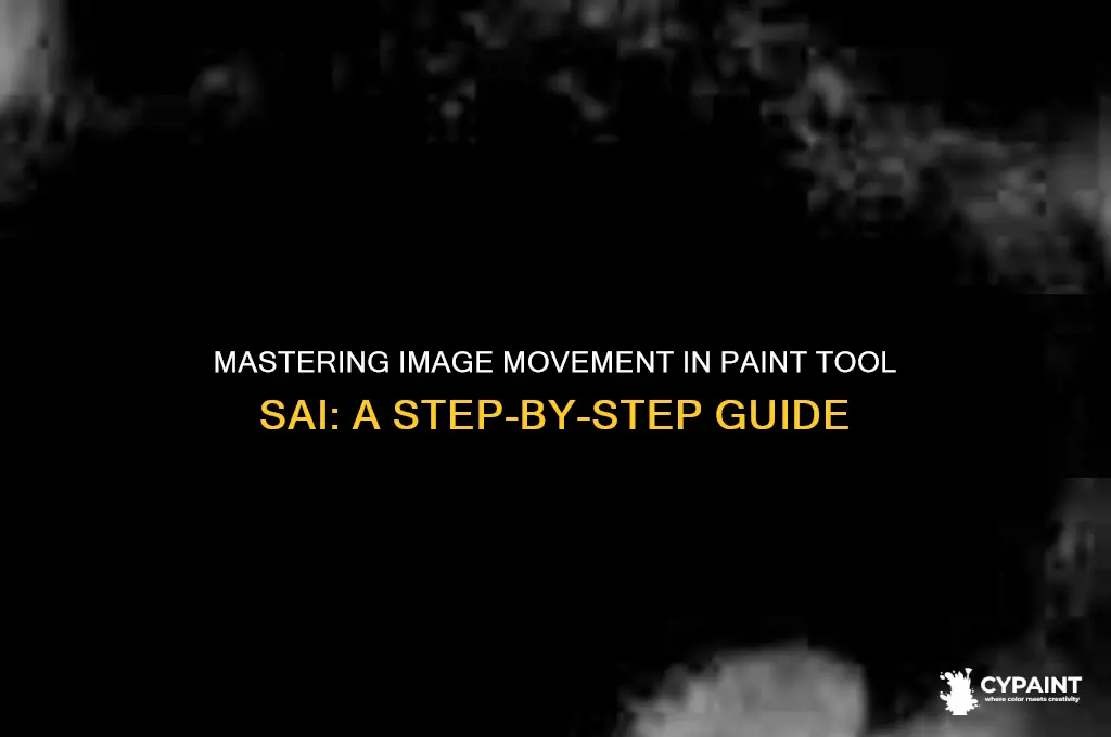 how to move image in paint tool sai