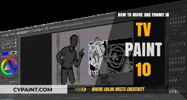 Navigating TV Paint 10: Moving One Frame at a Time