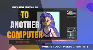 Transferring Paint Tool SAI to Another Computer: A Step-by-Step Guide