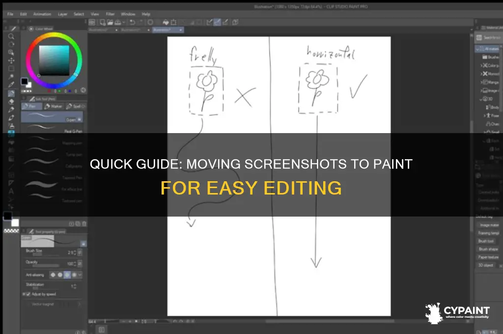 how to move screen shot to paint